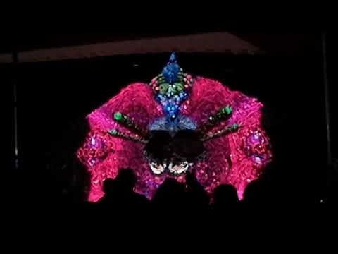 OrePhonia live at Orpheus Festival 2023