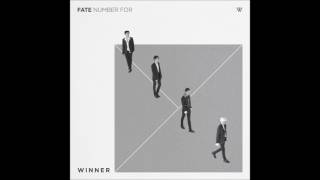 [INSTRUMENTAL] WINNER (위너) _ REALLY REALLY ("Fate Number For" Single Album)