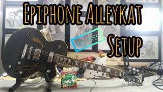 Video thumbnail for Setup Epiphone Alleykat by Bassboi's Garage