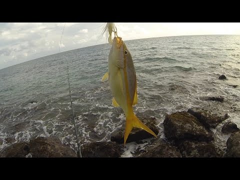 Multi-Species Surf Fishing in Puerto Rico