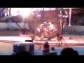 El Zaribah Shrine Circus Pt 2