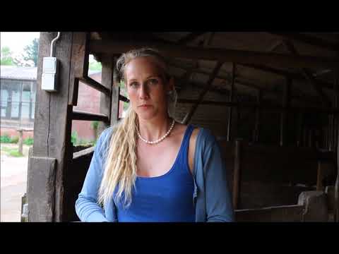 MUSTANG MAKEOVER 2018 Team Maya (TAG 3881) - Update 3