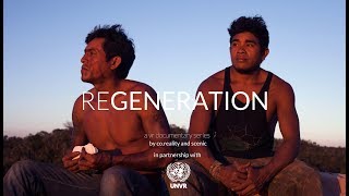 GUARDIANS OF THE FOREST