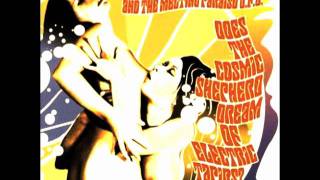 Acid Mothers Temple - Suzie Sixteen