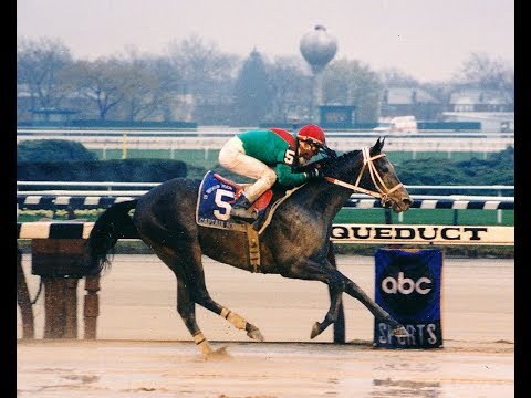 Wood Memorial Stakes (G2) 1997