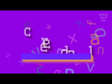 HOW TO PRONOUNCE CREEDAL? #creedal