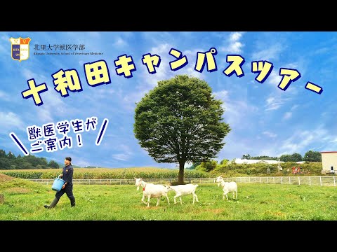 海洋生命科学科 獣医学生がご案内！北里大学 十和田キャンパスツアー