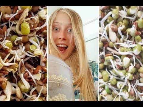 10 grodd hacks/ tips som kan vara bra att ha koll på