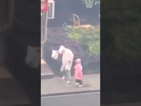 비 오는 날 행복해지는 영상