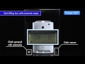 Plasmacluster Air Purifier Odor Sensor Demo