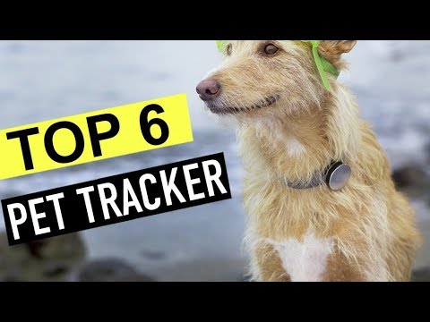 Best pet trackers