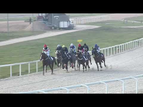 2020.11.22. 08. futam - LÓVERSENYZÉST FELÜGYELŐ BIZOTTSÁG DÍJA (I. kat.)(szintetikus pálya)