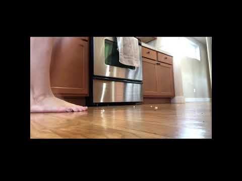 download lagu mp3 mp4 Cooking Barefoot, download lagu Cooking Barefoot gratis, unduh video klip Cooking Barefoot