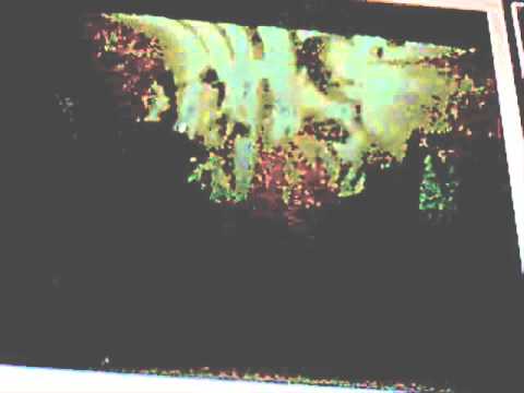 Zeitgeist James Bond Prediction  - must see -