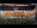 I Bought Clones Online From Seedsman & This Is What They Look Like