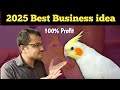Cocktail Parrot Business Profit 2025 Cocktiel Bird Business Idea