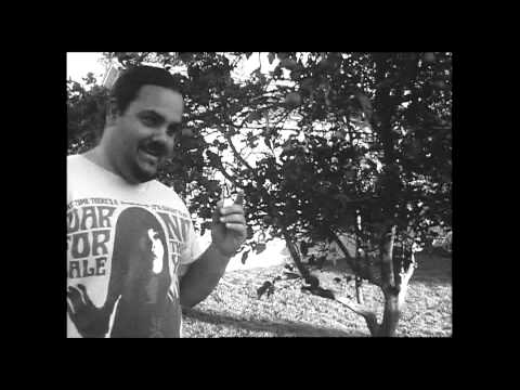 16mm Plus-X B&W Spectra Beaulieu R16 Automatic Test 11-16-2009 (Good Tranfer)