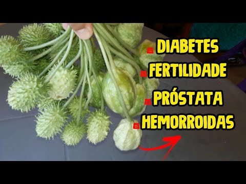 vitamine della prostatite vitamine della prostatite