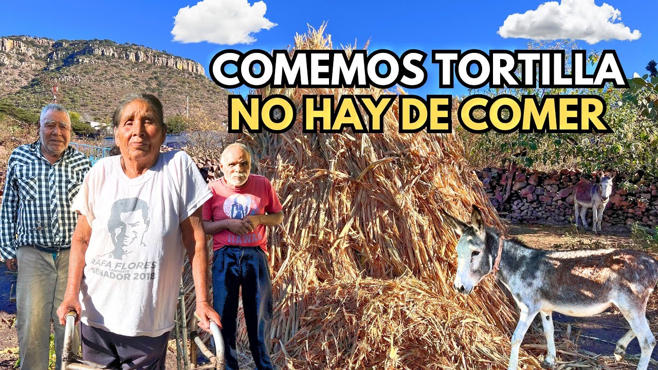 NO HAY PARA MÁS A VECES COMEMOS TACO DE SAL 😔