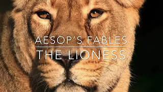 Aesop’s Fables The Lioness