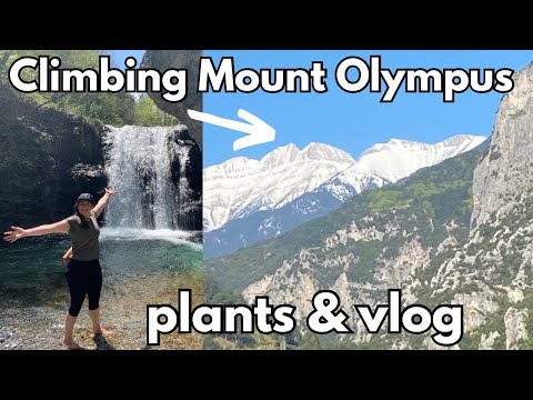 Greece: Plants and Hiking Mount Olympus | Plant with Roos
