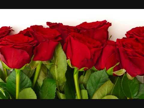 Alenka Godec - Življenje je lepo