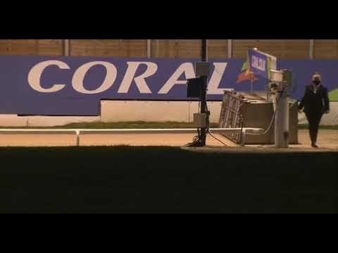 THREE EMS In Trap 1 Wins Her Heat Of Coral Cesarewitch Race At Romford 18/9/2020 xxxx✈️✈️✈️✈️🍾❤️