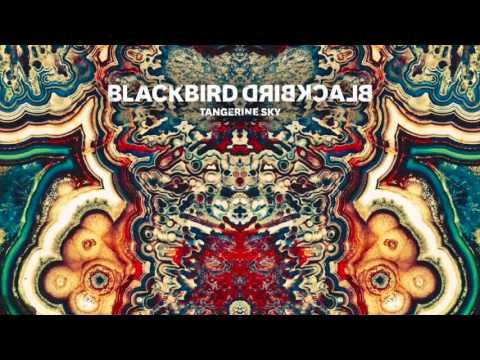 Blackbird Blackbird - Tangerine Sky