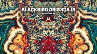 Blackbird Blackbird - Tangerine Sky