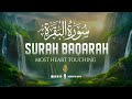 Surah Al Baqarah سورة البقرة Ultimate Soothing Recitation World S Most Beautiful Voice WQ