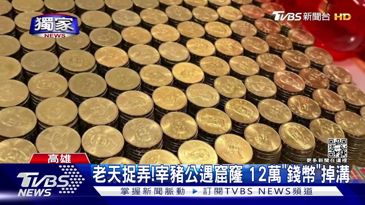 老天捉弄人!宰了豬公要兌現遇窟窿 12萬「錢幣」掉水溝