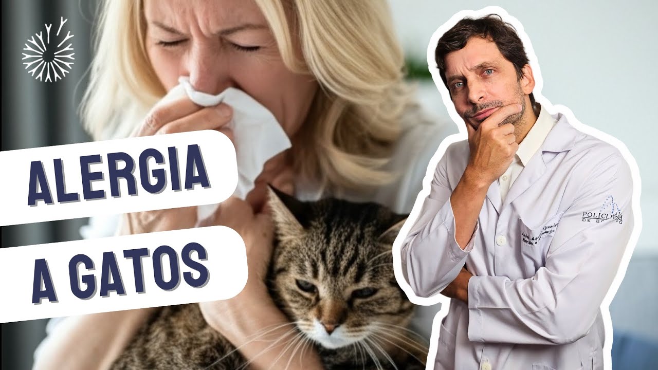 Andre Aguiar Gauderer-29