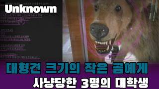 Download lagu [True Story] Three College Students Hunted by a Small Bear the Size of a Large Dog, Their Last Ch... mp3