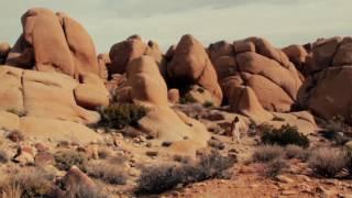 ELEANOR FRIEDBERGER - All Known Things