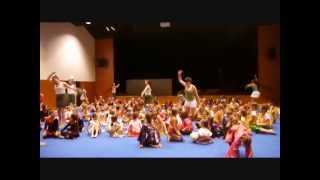 preview picture of video 'final gala 2013 - Harlem Shake'