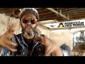 Spectacular - Jah Rise [Official Video 2018]