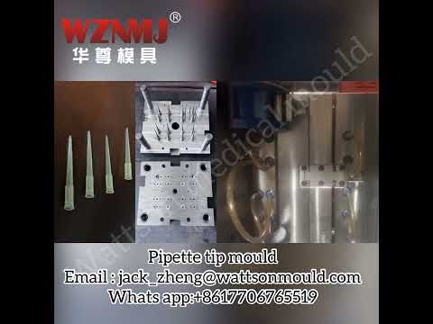 Pipette tip mould         Email : jack_zheng@wattsonmould.com               Whats app:+8617706765519