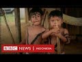 Hutan Ditebang Suku Amazon Ini Hanya Tersisa 120 Orang BBC News Indonesia