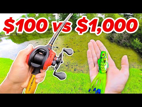 $100 vs $1,000 Budget Fishing Challenge (Rod, Reel, Lures)