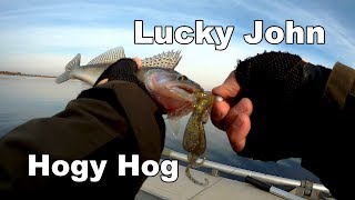 Lucky john hogy hog 1.6