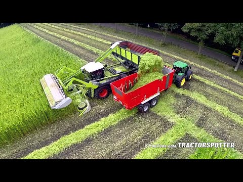 Harvesting fiber hemp | Claas Xerion 4000 | Vezelhennep oogst | DunAgro