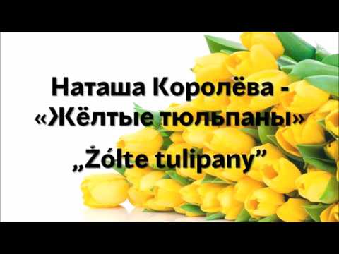 Наташа Королёва - Жёлтые тюльпаны [Текст]