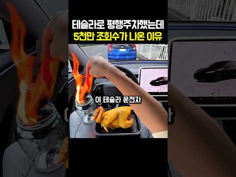 테슬라로 평행주차했는데 5천만 조회수가 나온 이유