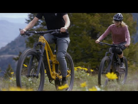 TREK Fuel EX 7 Gen 6