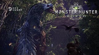 一応断っとくけど決してやましい気持ちでボーン装備にしているわけじゃないぞ！　「Monster Hunter WORLD」 part2