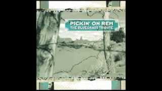 Man On The Moon - Pickin on R.E.M.: The Bluegrass Tribute