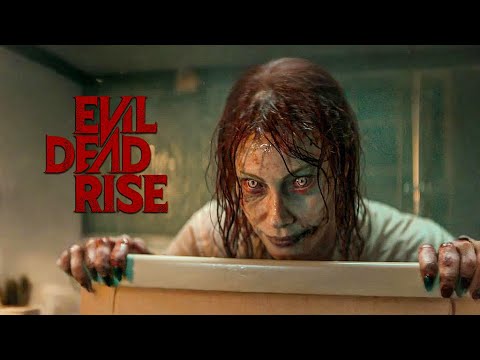 Film || Qoys Danyara Oo Si Lama Filaana U Helay Buug Ay Ku Jiraan Jimanka Kuwooda Ugu Xun @Msomalii1