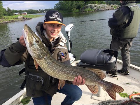 Kalakingit Vesillä - Eumer Fishing - Kalastus - Hauenkalastus - Kalastusvälineet - Eumer