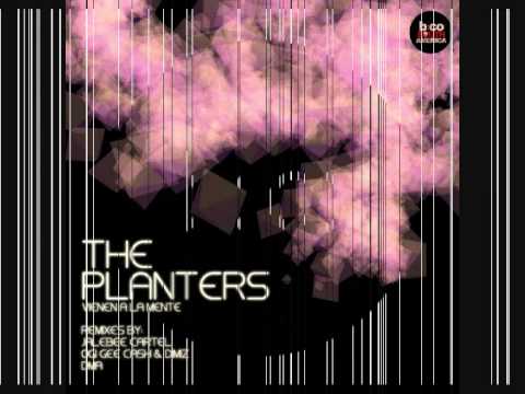 The Planters - Vienen a la Mente (Ogi Gee Cash & Dimiz Remix)