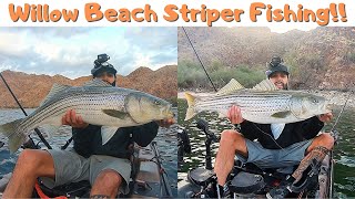 Colorado River/Willow Beach Striped Bass fishing! Early Morning session